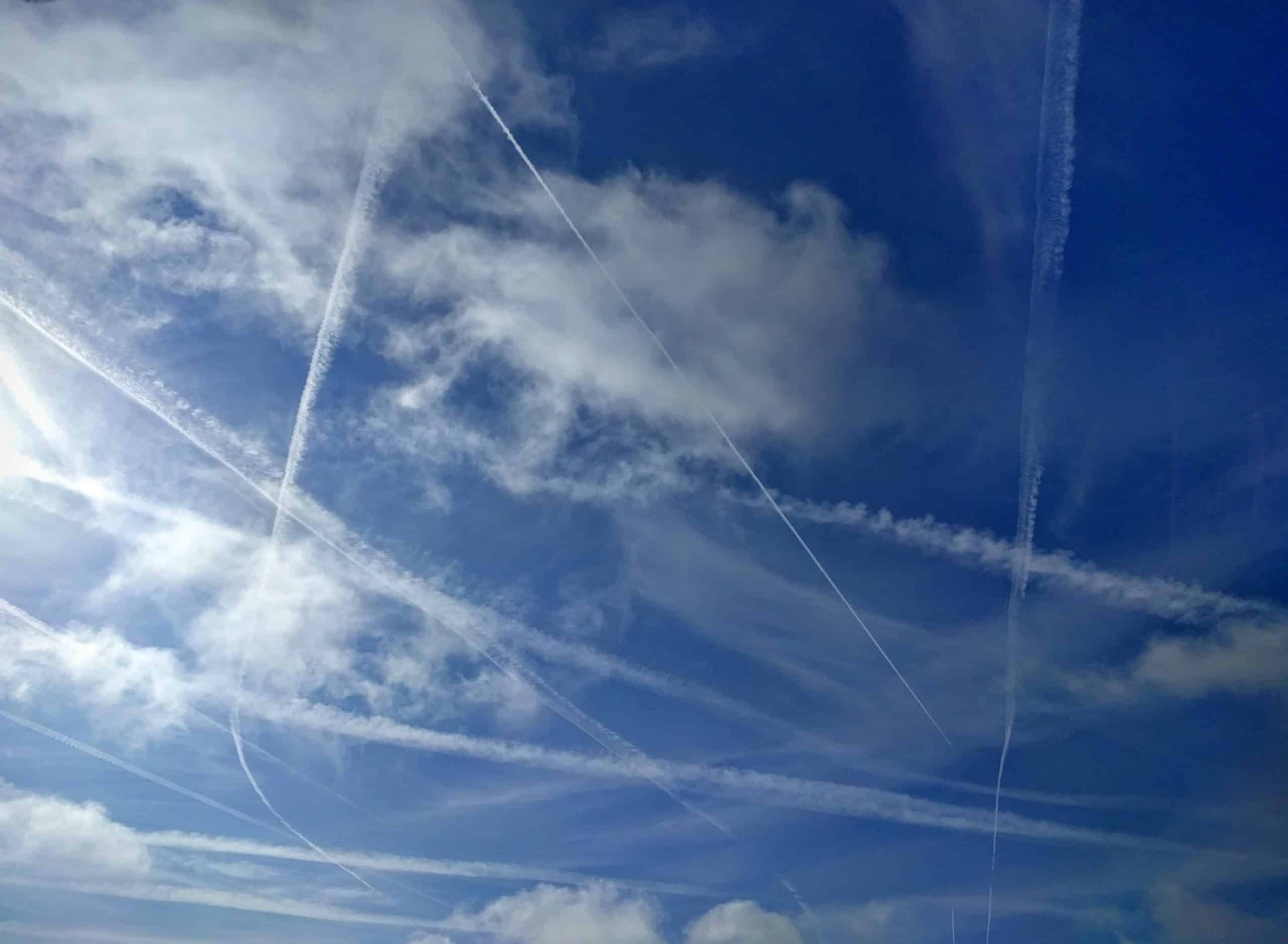 Mr Blue Sky